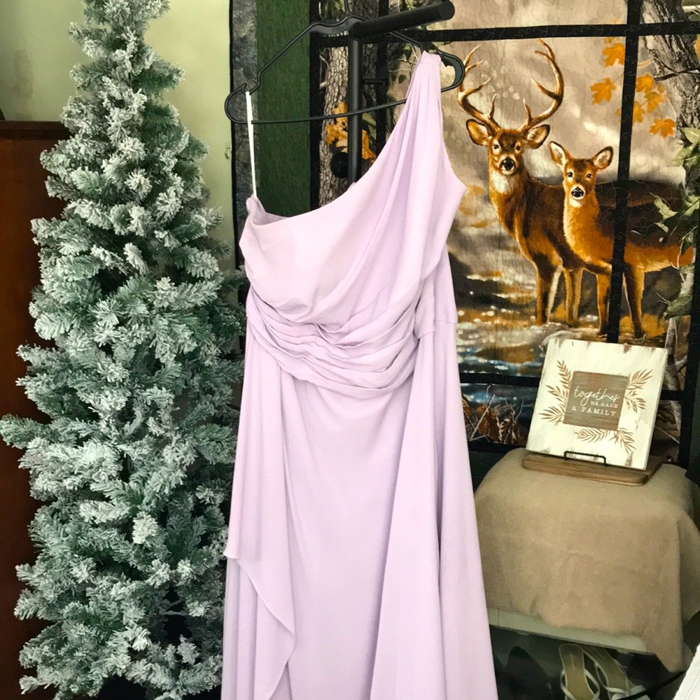 Size 22 lavender David’s Bridal gown